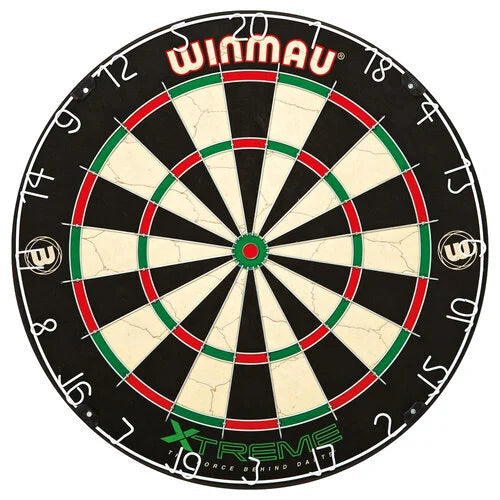 Jeu de Fléchettes Professionnel